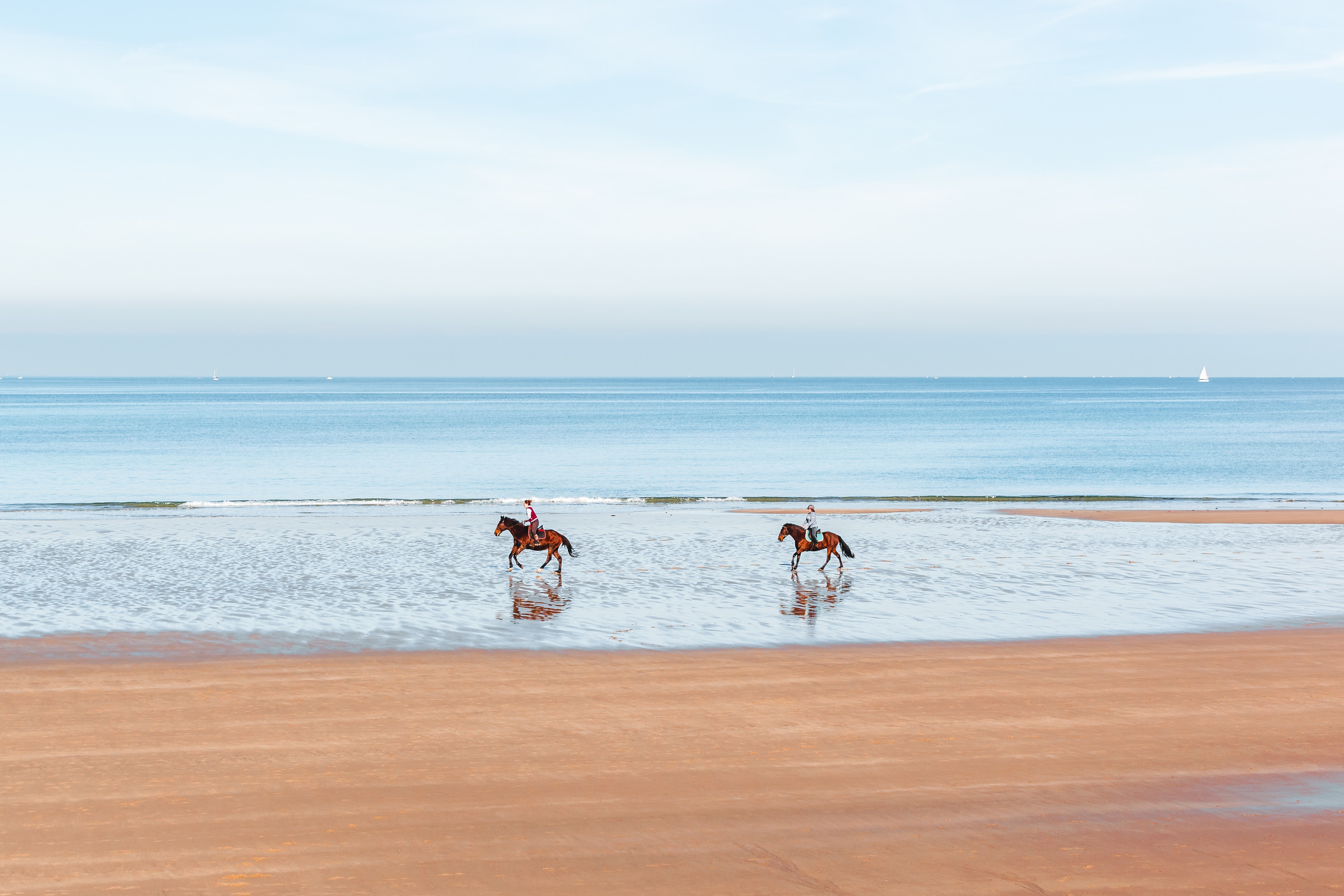 DIRECT AAN HET BOS OF STRAND