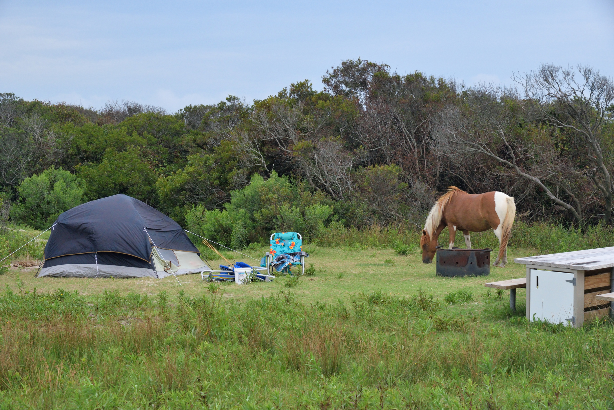 CAMPING