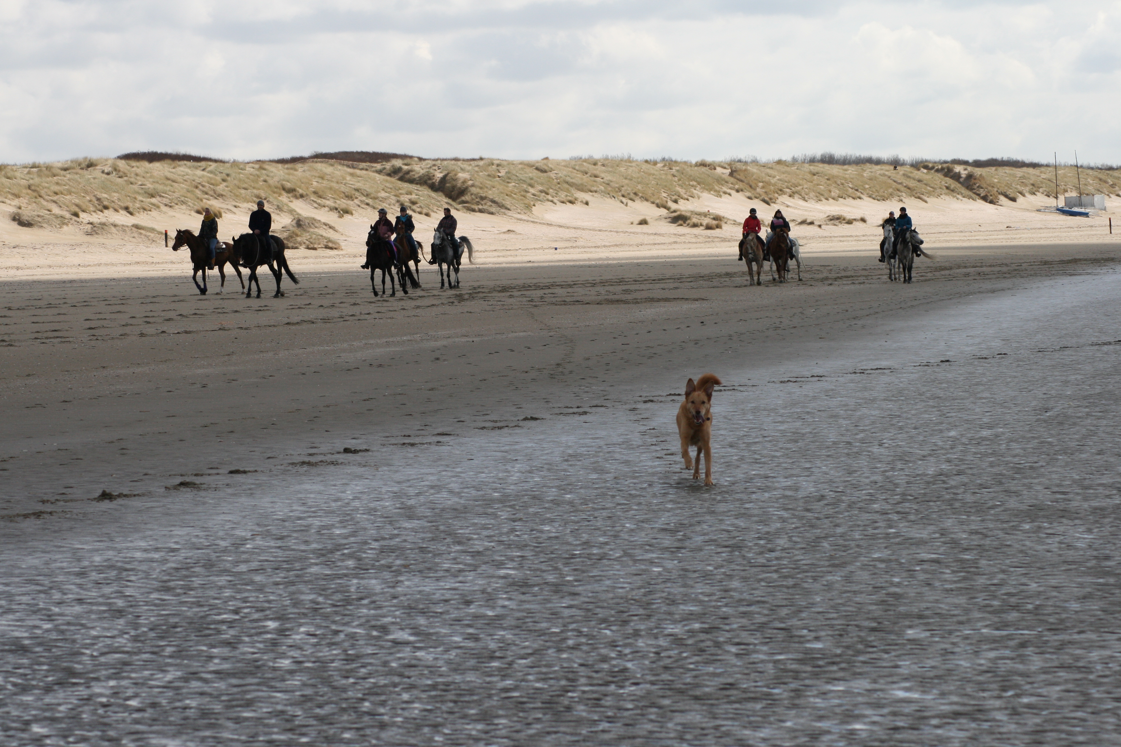 Oost - Vlaanderen