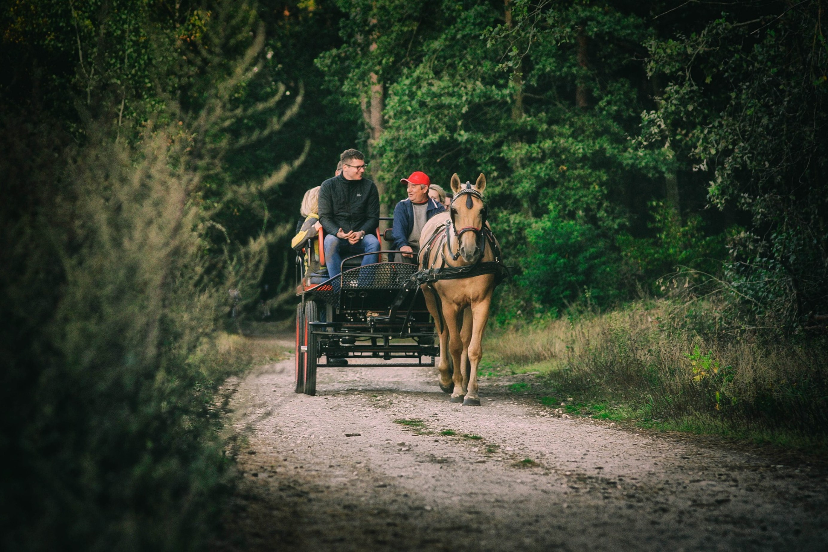 Drenthe