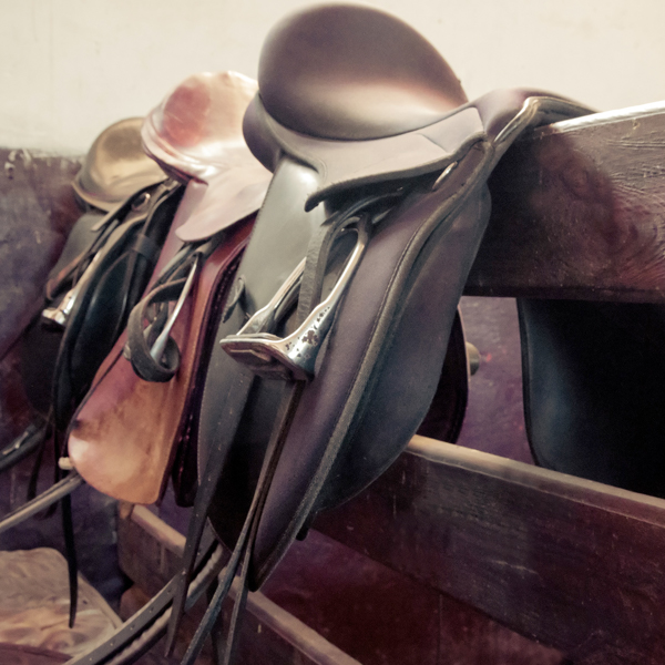 Over Horse & Stay