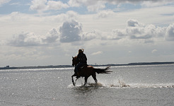 Horse & Stay is online!